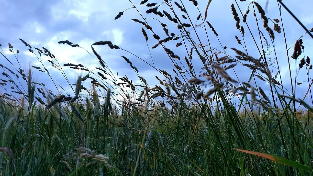 Nocleg ze śniadaniem Rouet Nature Trébas