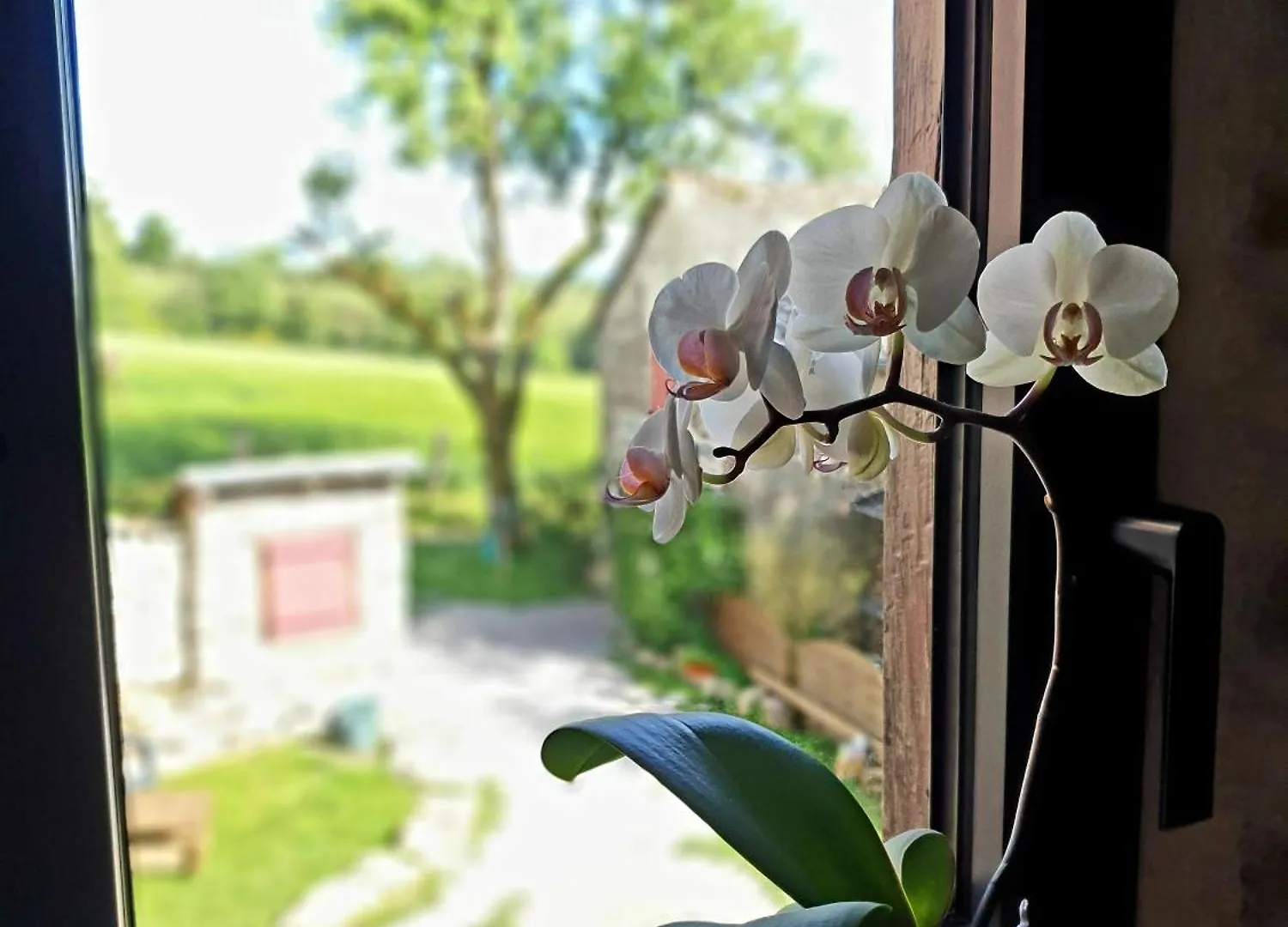 Couette-café ROUET-NATURE.FR - Chambre d'hôtes Nid Douillet Trébas