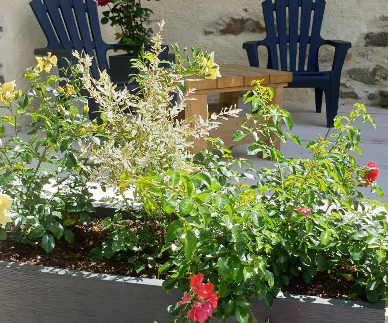 ROUET-NATURE.FR - Chambre d'hôtes Nid Douillet Trébas